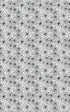 6047 - Spider Webs